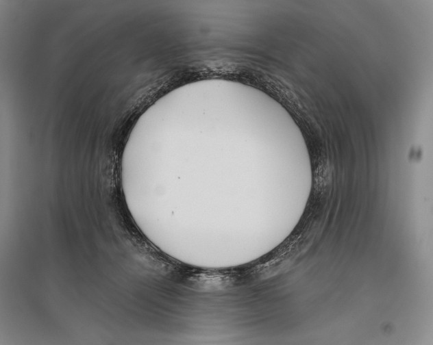 X0000096180464200802151445