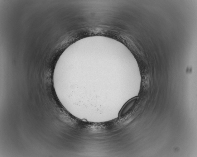 X0000096180466200802151445