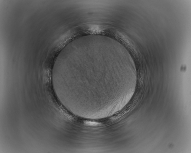 X0000096180467200802151445