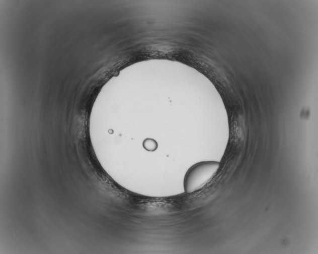 X0000096180468200802151445