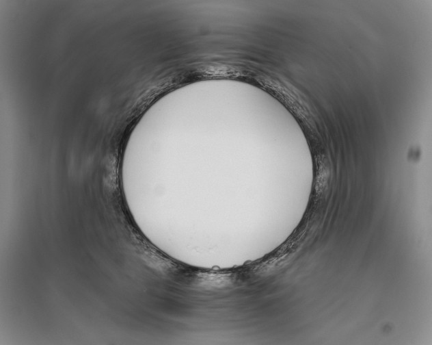 X0000096180469200802151445