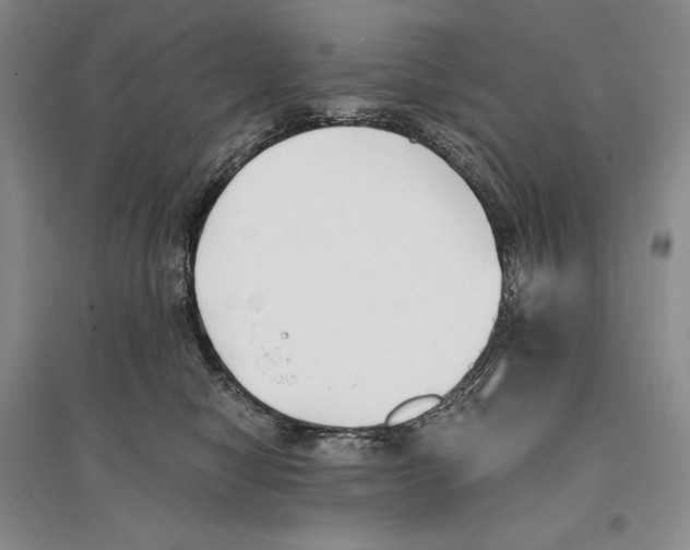 X0000096180470200802151445