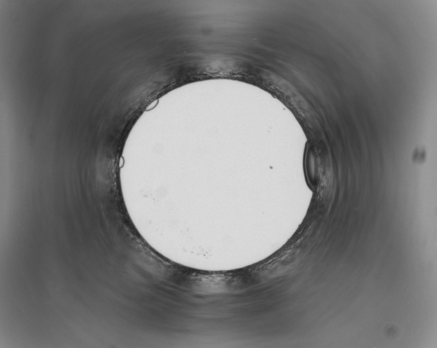 X0000096180473200802151445
