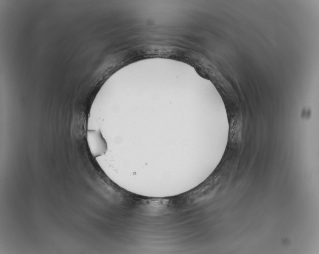 X0000096180474200802151445
