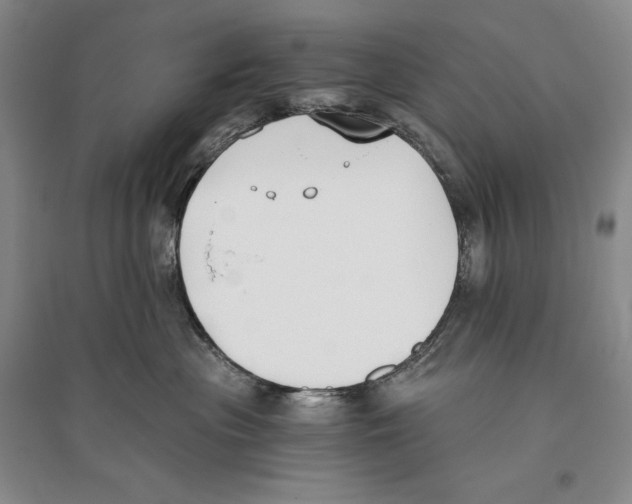 X0000096180477200802151445