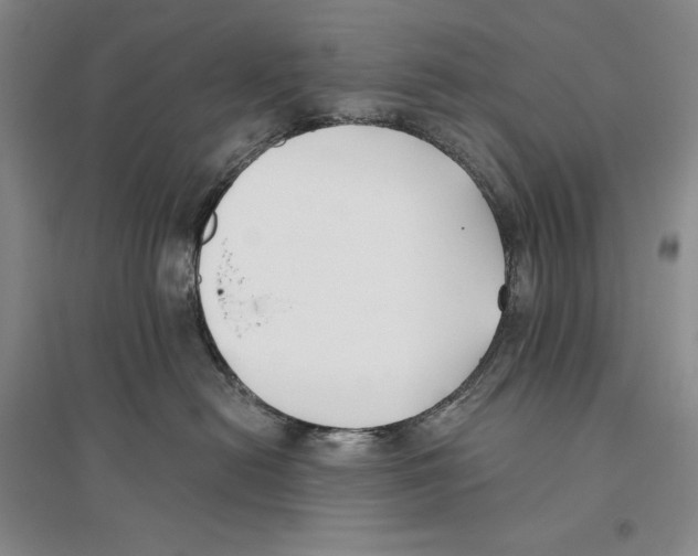 X0000096180478200802151445