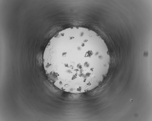 X0000096180479200802151445
