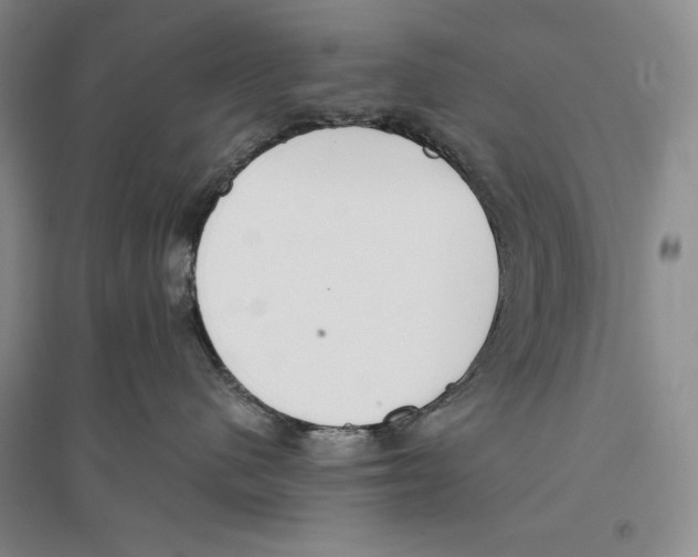 X0000096180480200802151445