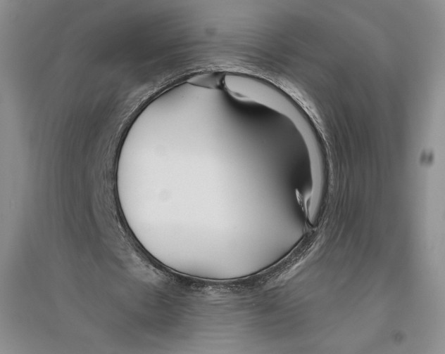 X0000096180481200802151444