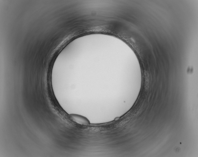 X0000096180482200802151444