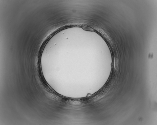 X0000096180483200802151444