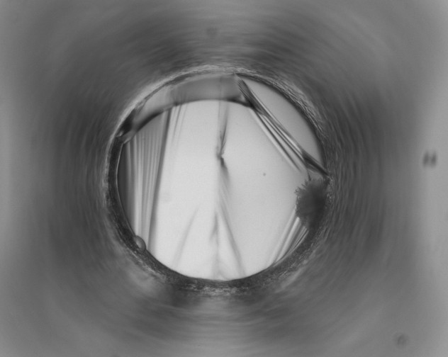 X0000096180484200802151444