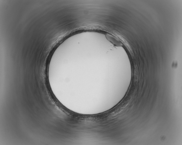 X0000096180485200802151444