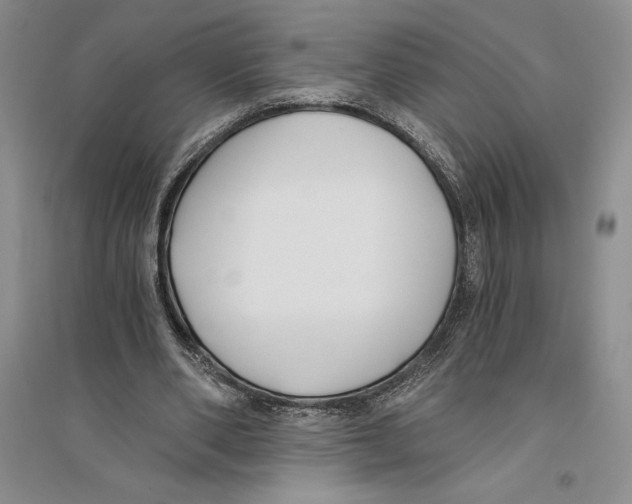X0000096180486200802151444