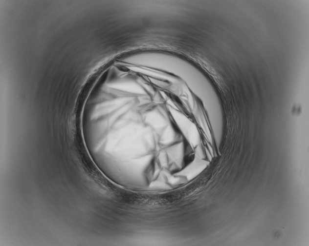 X0000096180488200802151444