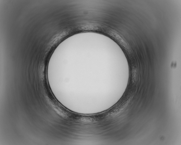 X0000096180490200802151444