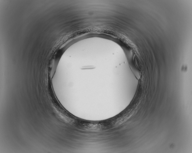 X0000096180493200802151444