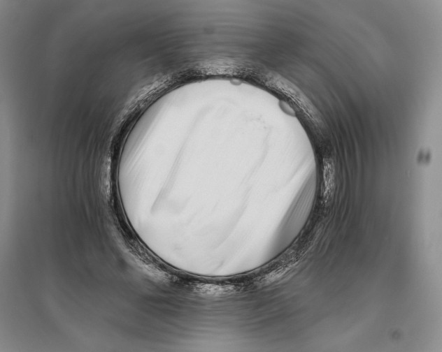 X0000096180494200802151444