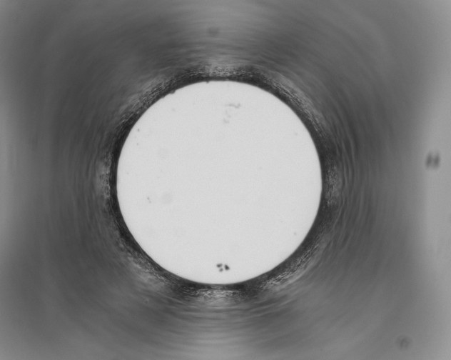 X0000096180497200802151444