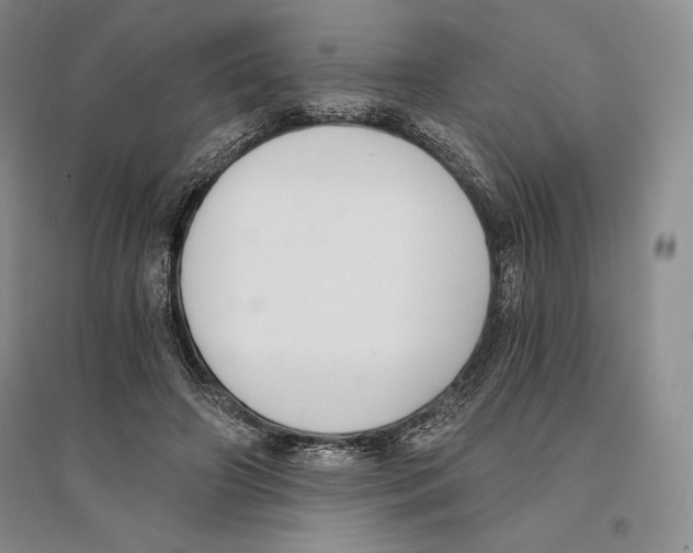 X0000096180498200802151444
