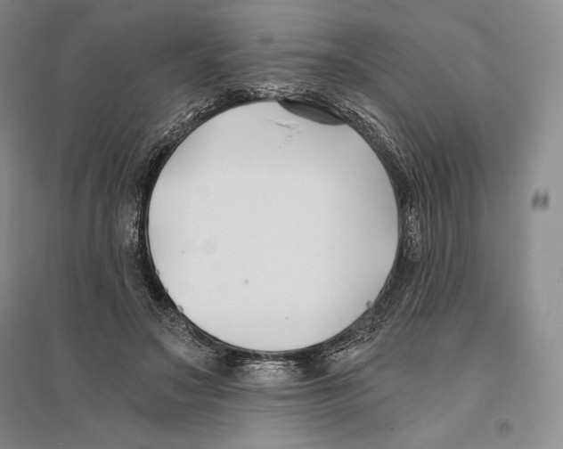 X0000096180499200802151444