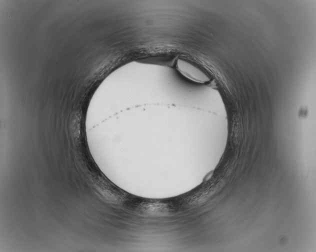 X0000096180501200802151444
