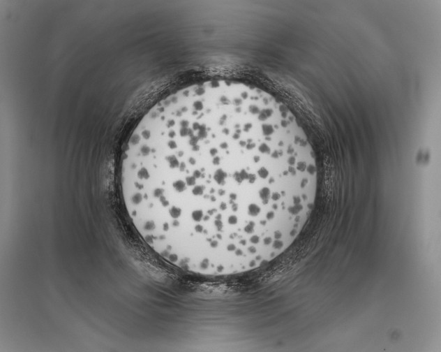 X0000096180502200802151444