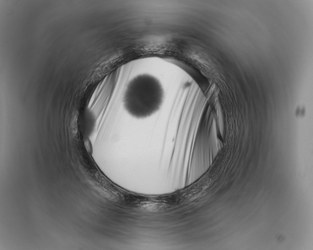 X0000096180504200802151444