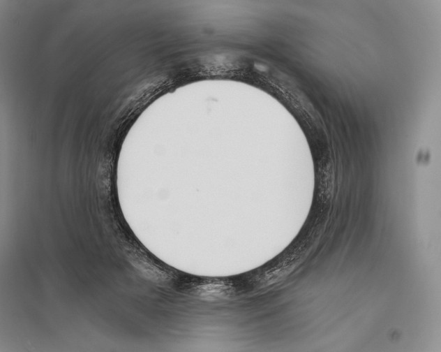 X0000096180505200802151444
