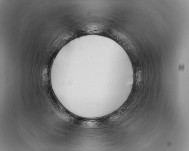 X0000096180506200802151444