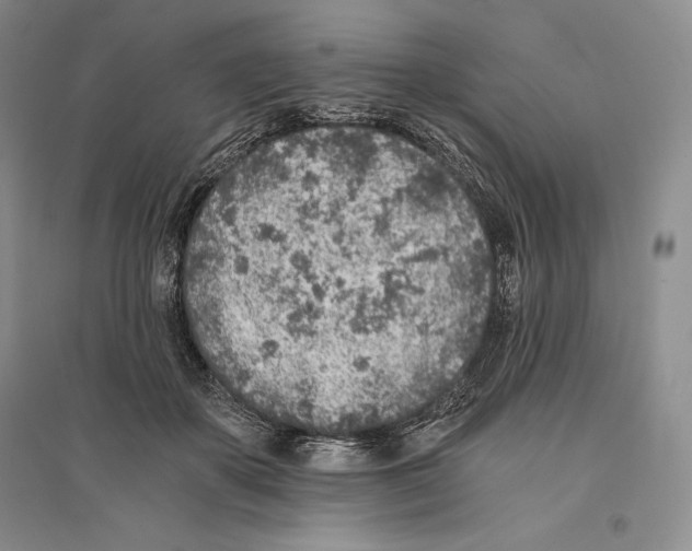 X0000096180507200802151444