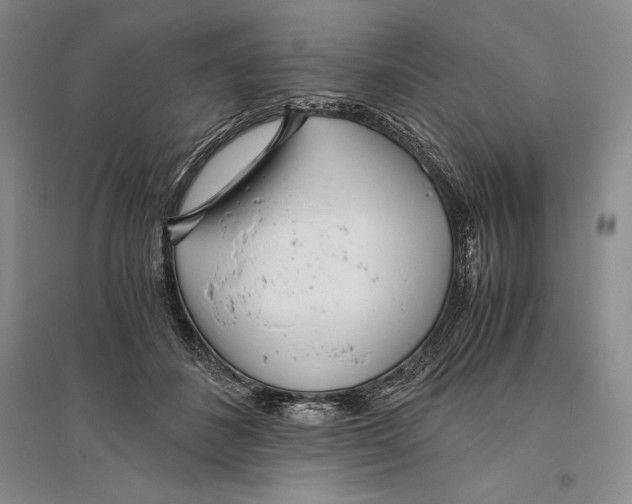 X0000096180508200802151444
