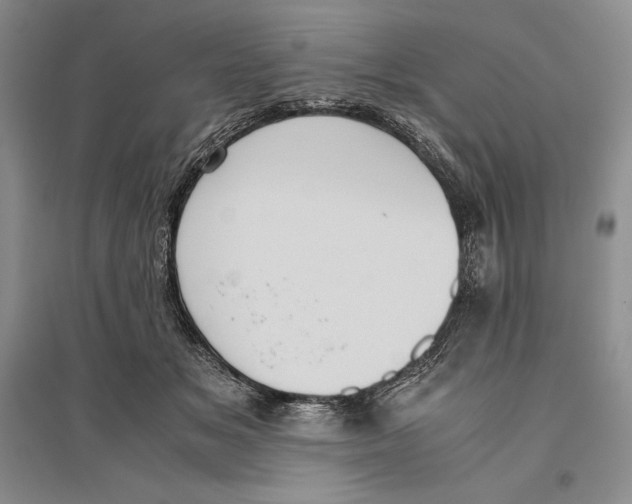 X0000096180509200802151444