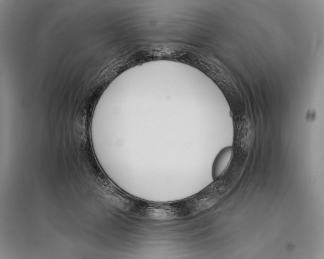 X0000096180510200802151444
