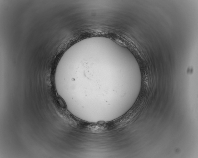 X0000096180512200802151444
