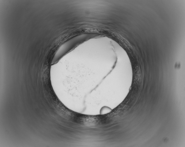 X0000096180513200802151444
