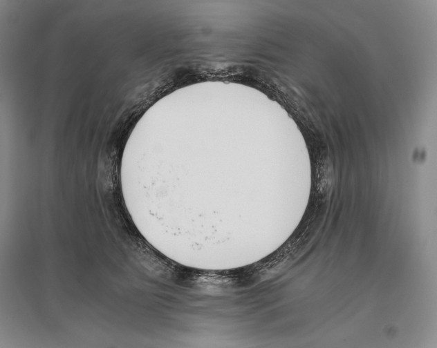 X0000096180515200802151444