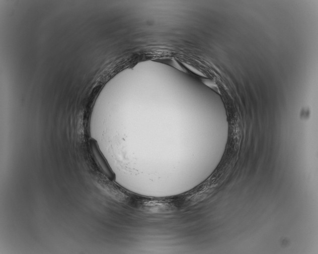 X0000096180516200802151444