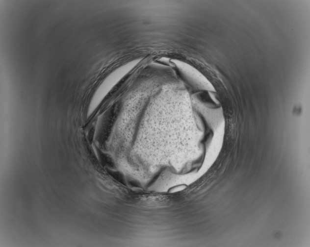 X0000096180517200802151444