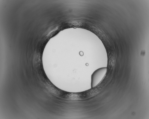 X0000096180518200802151444