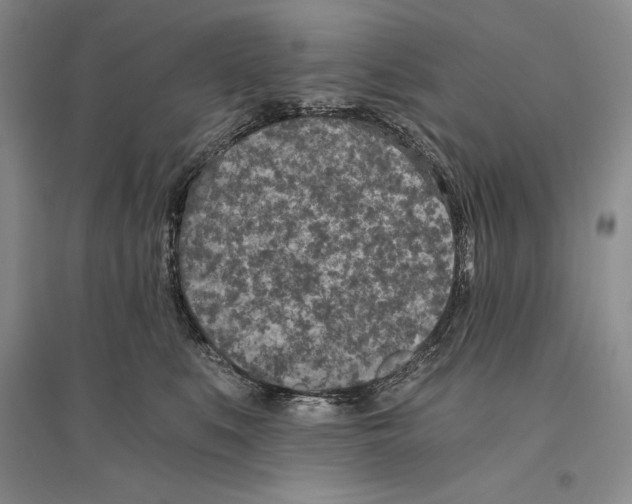 X0000096180519200802151444