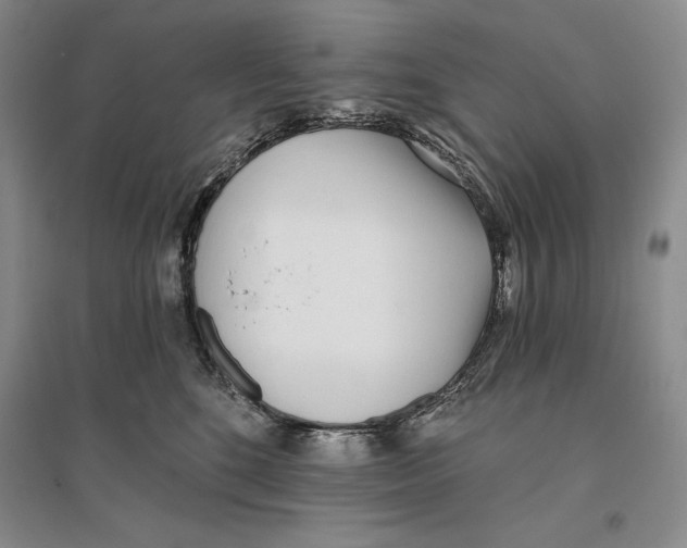 X0000096180520200802151444