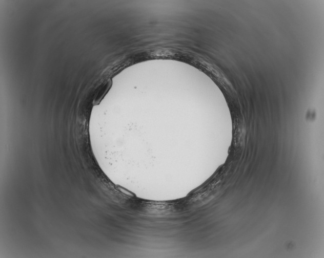 X0000096180521200802151444