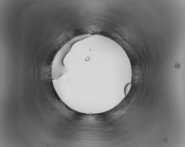 X0000096180523200802151444