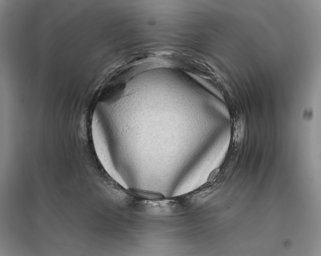 X0000096180524200802151444