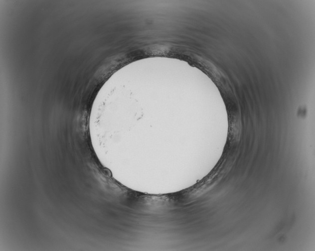 X0000096180525200802151444