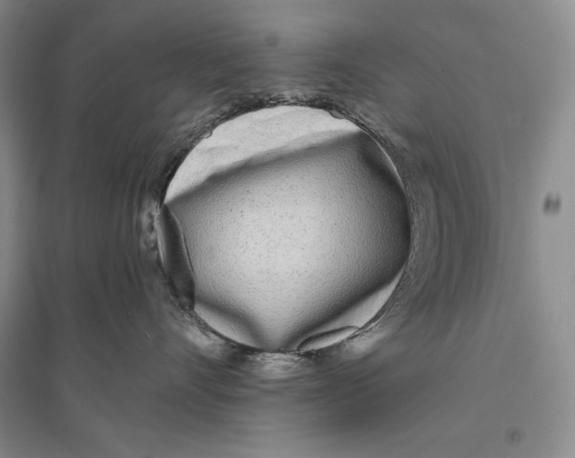 X0000096180528200802151444