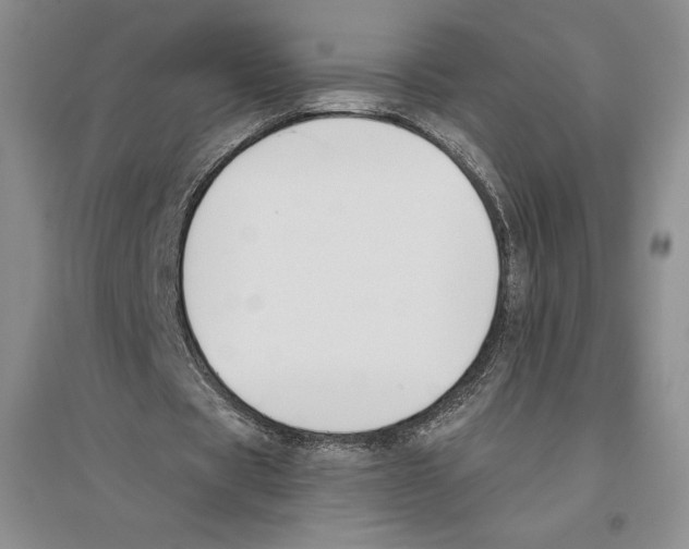 X0000096180529200802151443
