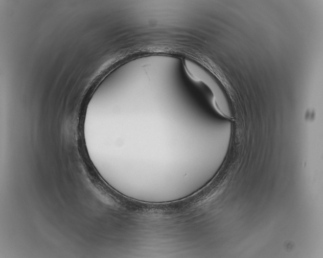 X0000096180530200802151443