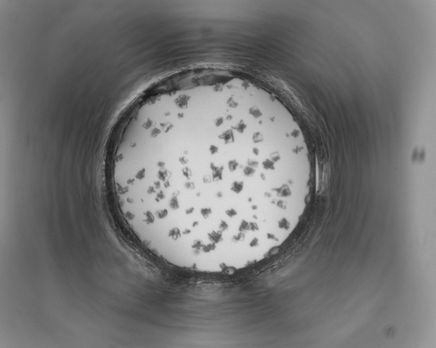 X0000096180531200802151443